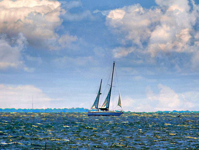 FMS Photo A Day March 18, 2024 - Simplicity - Sailboat on the Chesapeake Bay near Fort Howard