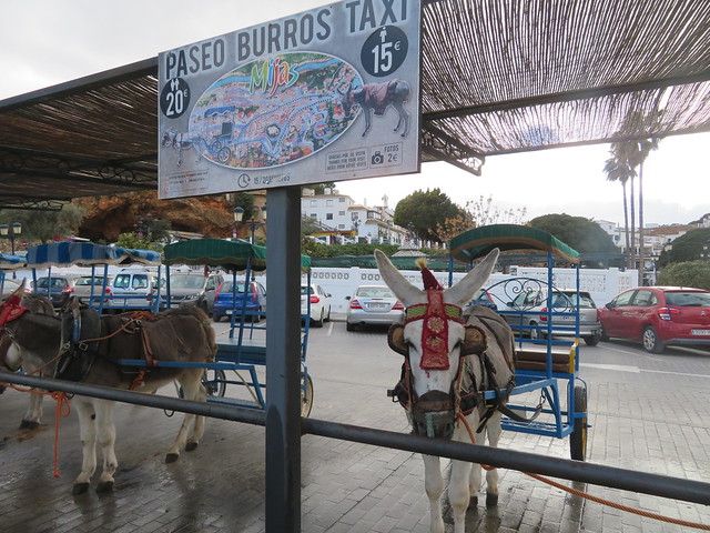 Spain - Andalusia - Mijas Pueblo - Donkey taxi