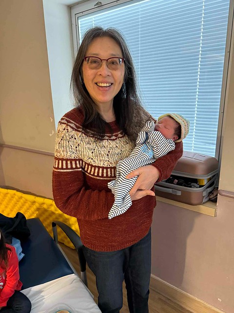 My sister Mary welcomed her second grandchild last Friday! Here she is wearing her Zweig by Caitlin Hunter knit using Koigu KPM.
