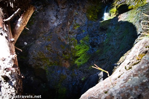 Part of the waterfall and moss below the Natural Bridge, Yellowstone National Park, Wyoming