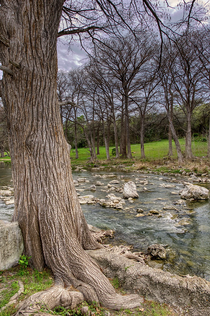 Guadalupe River - New Braunfels, Texas
