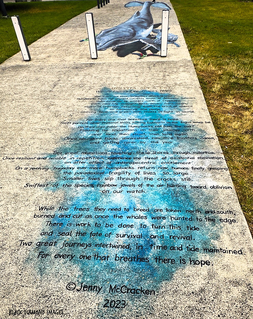Where There's Life There's Hope - Pavement Art - Trompe l’oeil - Poem & Whale Mural by Jenny McCracken 2023 - Honeysuckle Foreshore, Newcastle, NSW