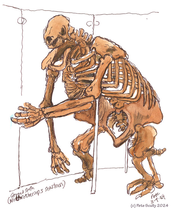 NHM-LA Ground Sloth skeleton sm