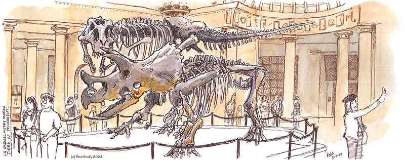 NHM-LA Triceratops v T-Rex