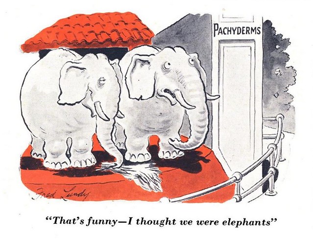 STEM Cartoon 042 - Elephant Humor - 1949