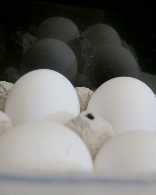 White Eggs, Black Mirror