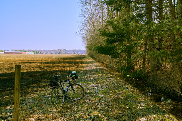 036779a- Taking A Break Beside A Tree Line That Separates One Field From Another