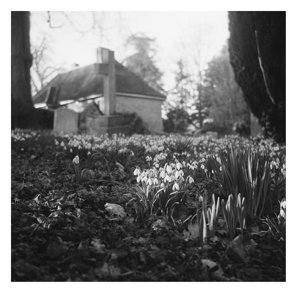 FILM - Snowdrops and cross