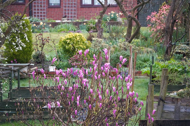 Gardens 'Springing to Life'