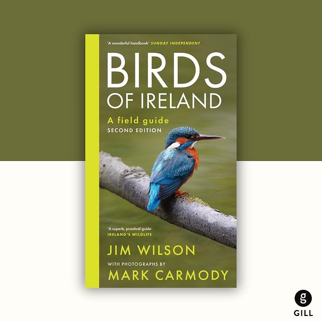 2nd Edition of Birds of Ireland out now!