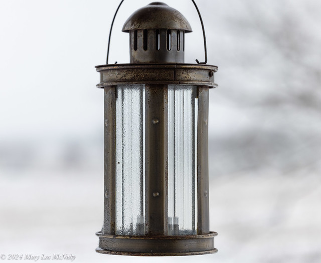 Lantern in the Snow
