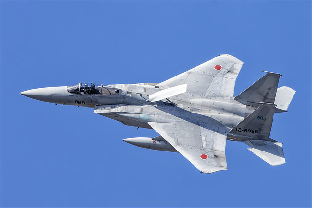 Mitsubishi F-15J Eagle - 15