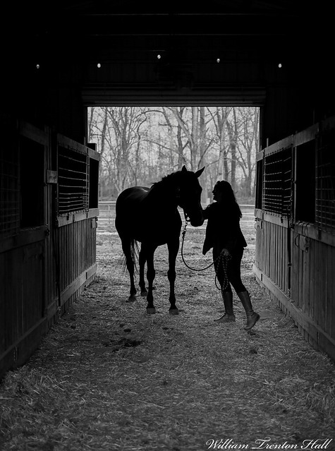 Our horse Dante's 14th birthday. I wanted to take a picture to celebrate and remember!- Canton, NC