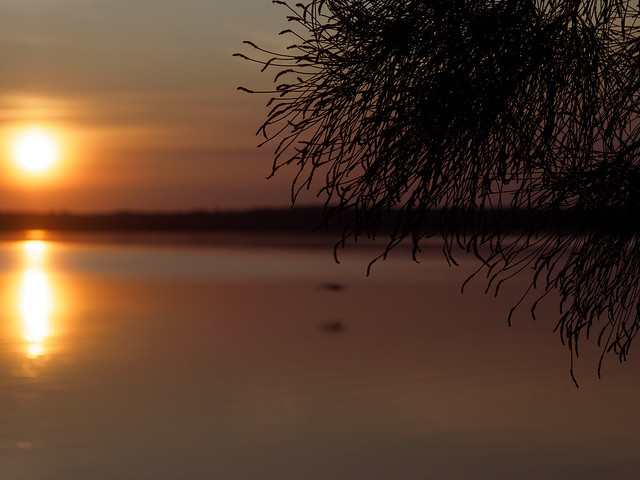 Sunrise at Munmorah Lake