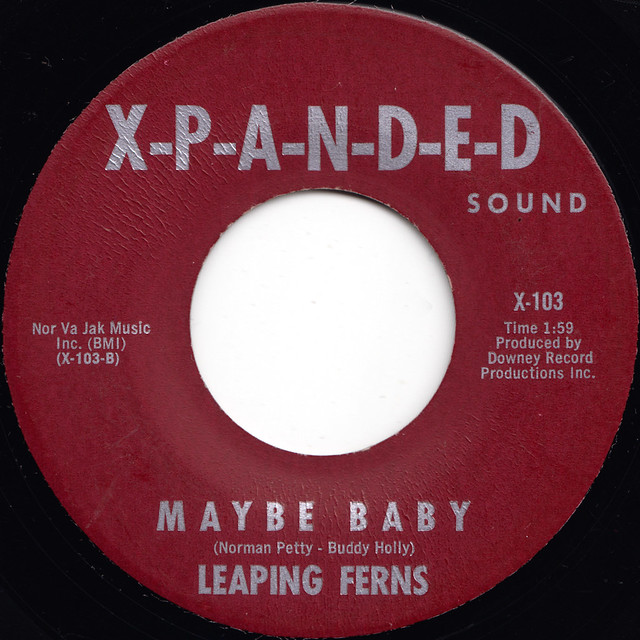 Leaping Ferns - It never works out for me/Maybe baby 45rpm