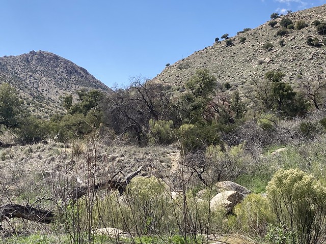 AZ - Pima County - Catalina, Mount Lemmon, and General Hitchcock Highway to and from Summerhaven
