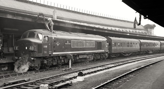 Sherwood Forester at York