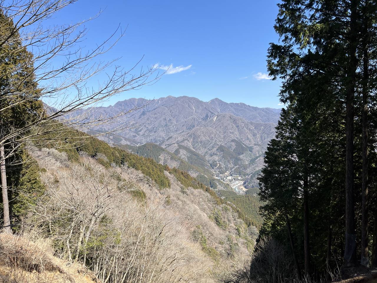 【丹沢】ミツバ岳～権現山 丹沢主脈の展望