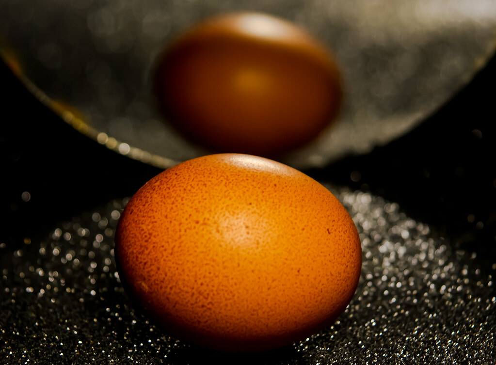 Egg reflection