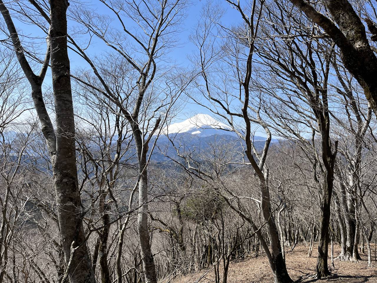 【丹沢】権現山からの富士山の展望