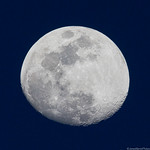 Backyard Moon Backyard Moon
Waxing Gibbous (91% Full)
Henderson, Nevada
March 2024