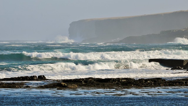 South Voe Surf IMG_4082
