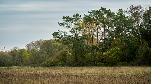 Countryside landscape | by p.marteville