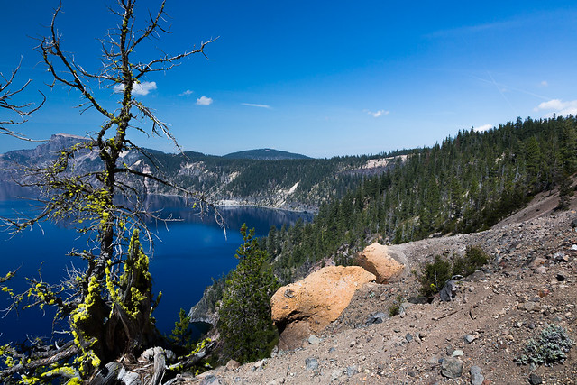 Crater lake and moss covered tree
