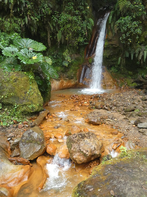El Cajón Waterfall II, El Iral Bosque Nuboso, San José, Costa Rica, 16 March 2024