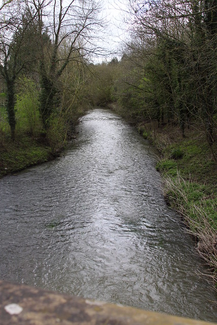 River Sowe, Baginton, Warwickshire (12/52)