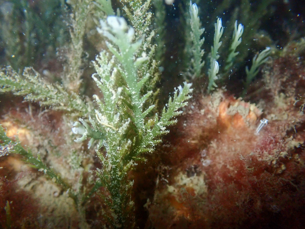 15-P1010034