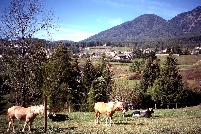 Pastoral scene, Cavalese, Trentino - 1995