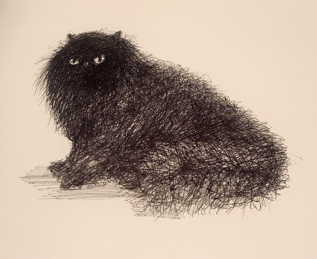“Persian Cat.” Ballpoint pen drawing by jmsw on Sketchbook card.