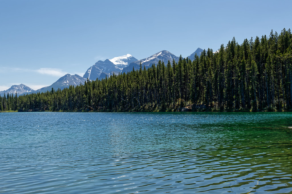 Herbert Lake and a Distant View of Ridges and Peaks of the Bow Range (Banff National Park)
