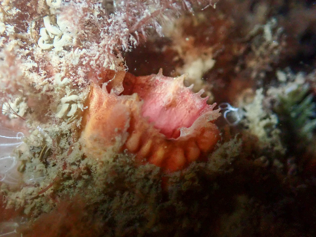 13-P1010033