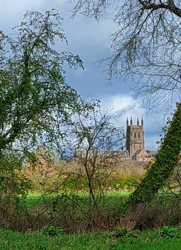 Cathedral through the trees