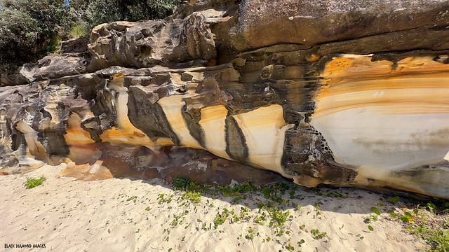 Sydney Sandstone - Tamarama Beach (Colloquially - Glamarama or Glamourama), Eastern Suburbs, Sydney, NSW