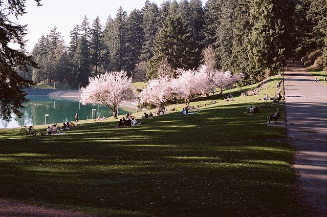 Mount Tabor Park, 18 March 2024