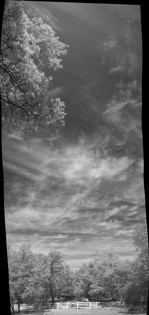 Infrared Clouds Overhead 1