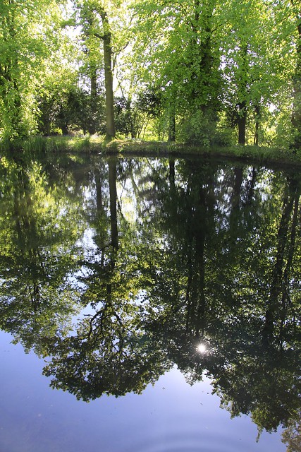 Pond at Dunchurch Park Hotel, Dunchurch, Warwickshire