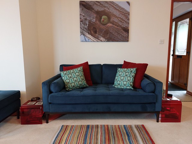 355/365 - New sofa!