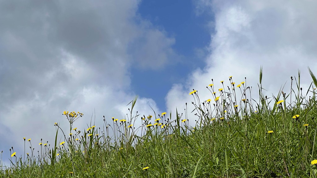 Nuvole sul prato fiorito - Clouds over the flowering meadow