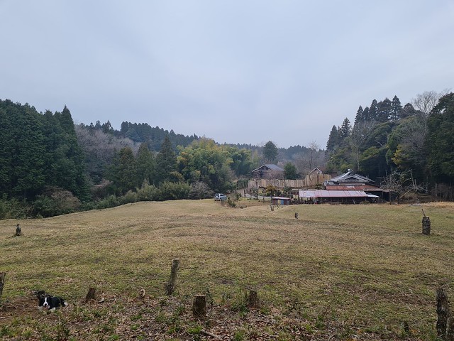 里楽里 (Sarari, Chiba)