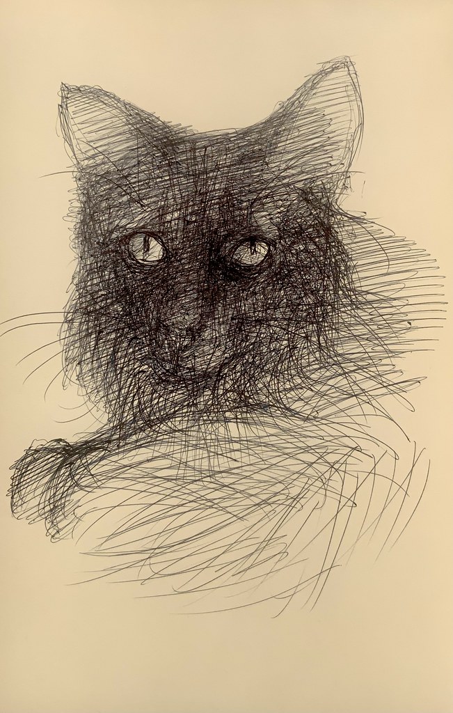 Portrait of a large beautiful Cat. Ballpoint pen drawing by jmsw on card.