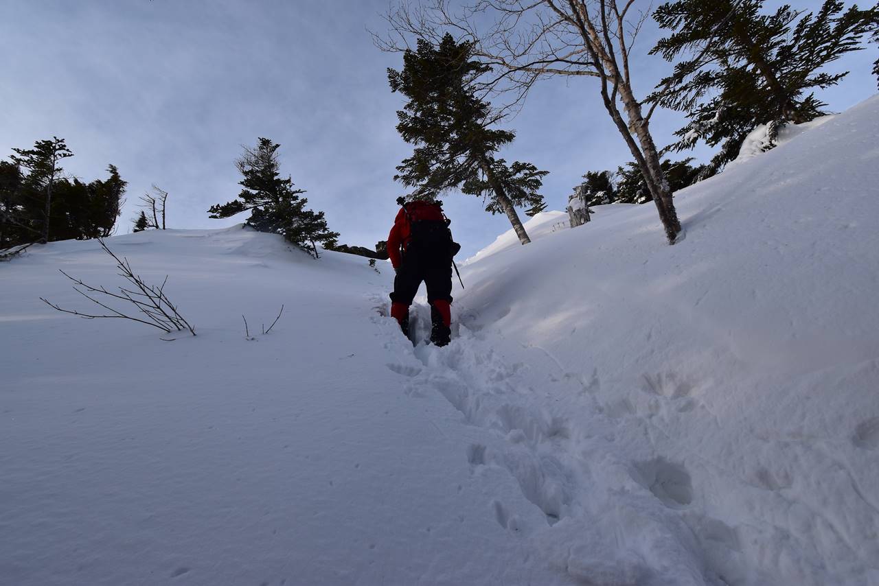 【八ヶ岳】冬の天狗岳 唐沢鉱泉からの周回ルートで雪山登山