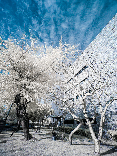 (infrared photography) 國立台灣美術館