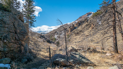 A Little Peek Hewlitt Gulch Trail, Mishawaka, Colorado

RAW 50MP format on the S23 Ultra
