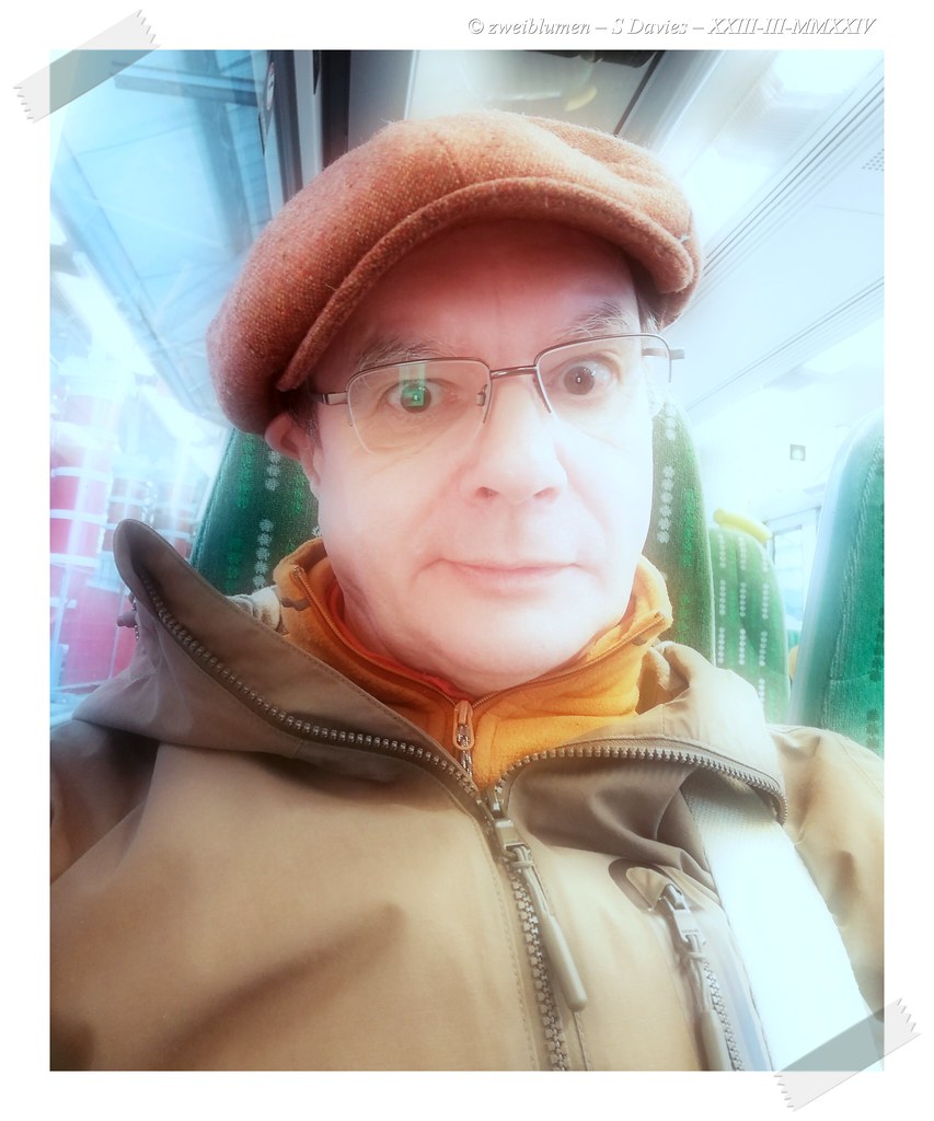 Selfie on a train