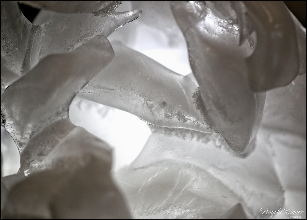Ice Sculpture...