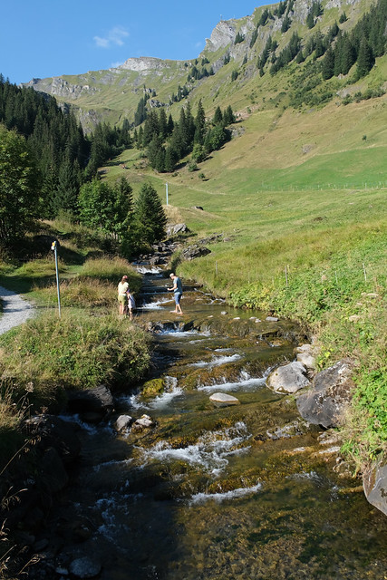 Alpine stream